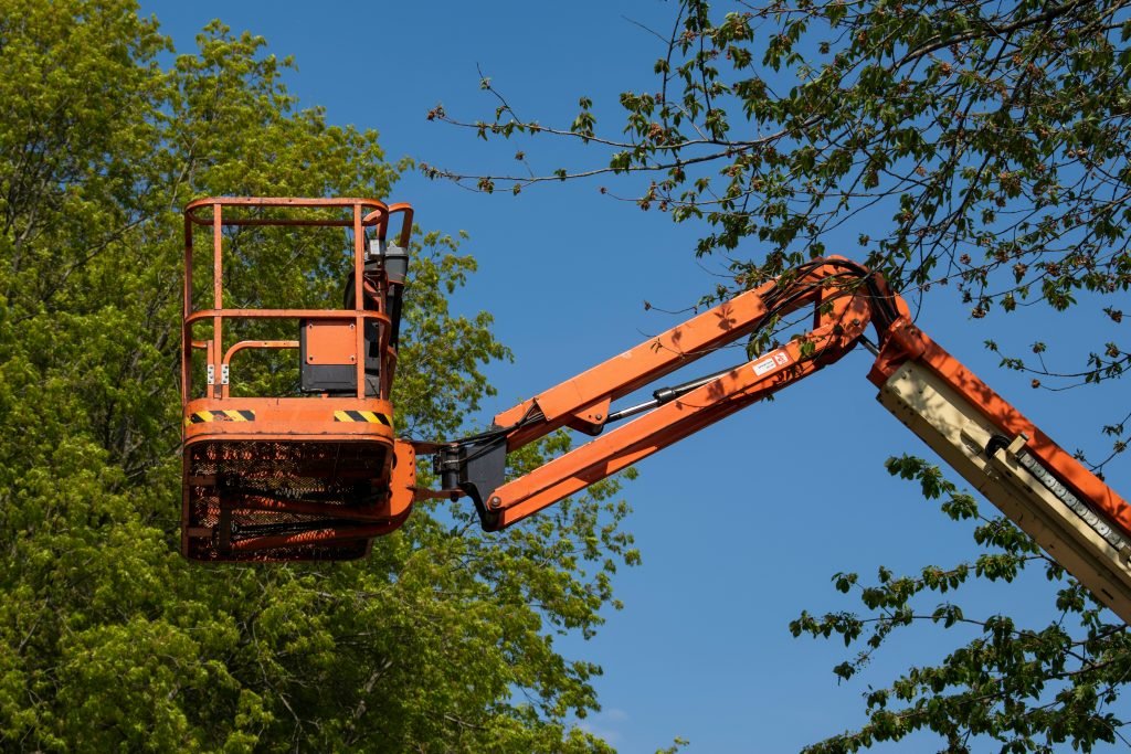 crane services for hazardous trees